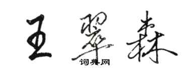 骆恒光王翠森行书个性签名怎么写