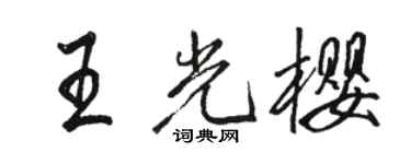 骆恒光王光樱行书个性签名怎么写