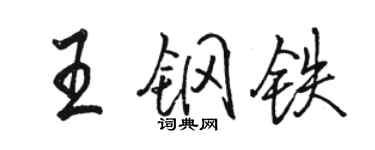 骆恒光王钢铁行书个性签名怎么写