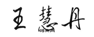 骆恒光王慧丹行书个性签名怎么写