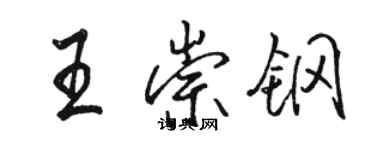 骆恒光王崇钢行书个性签名怎么写