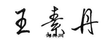 骆恒光王素丹行书个性签名怎么写