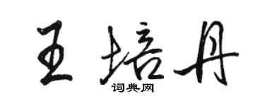 骆恒光王培丹行书个性签名怎么写