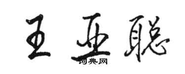 骆恒光王亚聪行书个性签名怎么写
