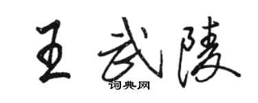 骆恒光王武陵行书个性签名怎么写