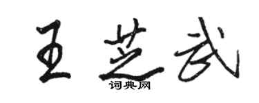 骆恒光王芝武行书个性签名怎么写