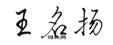 骆恒光王名扬行书个性签名怎么写