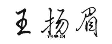 骆恒光王扬眉行书个性签名怎么写