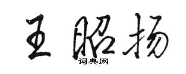骆恒光王昭扬行书个性签名怎么写