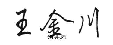 骆恒光王金川行书个性签名怎么写