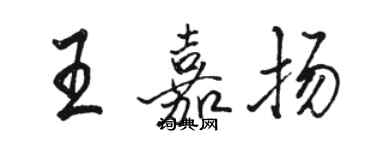 骆恒光王嘉扬行书个性签名怎么写