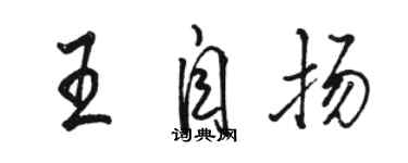 骆恒光王自扬行书个性签名怎么写