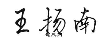 骆恒光王扬南行书个性签名怎么写