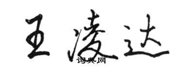 骆恒光王凌达行书个性签名怎么写