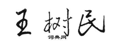 骆恒光王树民行书个性签名怎么写