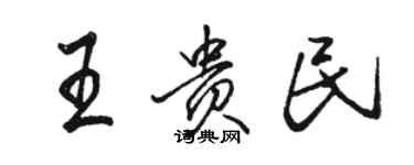 骆恒光王贵民行书个性签名怎么写