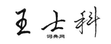 骆恒光王士科行书个性签名怎么写