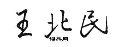 骆恒光王北民行书个性签名怎么写