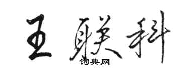 骆恒光王联科行书个性签名怎么写