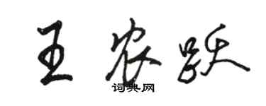 骆恒光王农跃行书个性签名怎么写