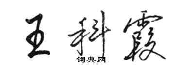 骆恒光王科霞行书个性签名怎么写