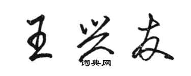 骆恒光王兴友行书个性签名怎么写