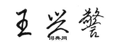 骆恒光王兴警行书个性签名怎么写