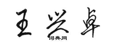 骆恒光王兴卓行书个性签名怎么写