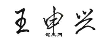 骆恒光王申兴行书个性签名怎么写
