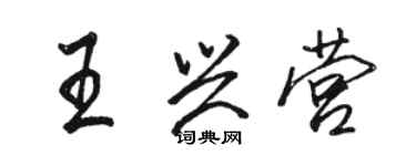 骆恒光王兴营行书个性签名怎么写
