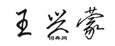 骆恒光王兴蒙行书个性签名怎么写