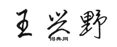 骆恒光王兴野行书个性签名怎么写
