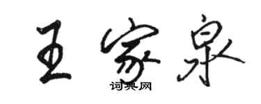 骆恒光王家泉行书个性签名怎么写