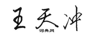 骆恒光王天冲行书个性签名怎么写