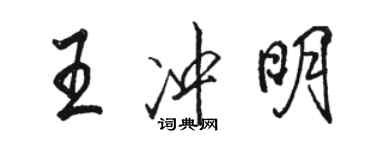 骆恒光王冲明行书个性签名怎么写