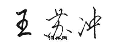 骆恒光王苏冲行书个性签名怎么写
