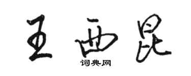 骆恒光王西昆行书个性签名怎么写