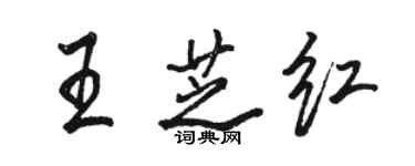 骆恒光王芝红行书个性签名怎么写