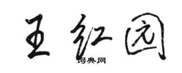 骆恒光王红园行书个性签名怎么写