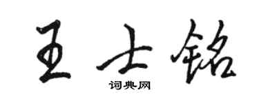 骆恒光王士铭行书个性签名怎么写