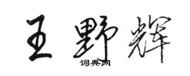 骆恒光王野辉行书个性签名怎么写