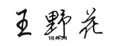 骆恒光王野花行书个性签名怎么写
