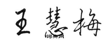 骆恒光王慧梅行书个性签名怎么写