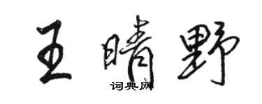 骆恒光王晴野行书个性签名怎么写