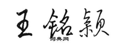 骆恒光王铭颖行书个性签名怎么写