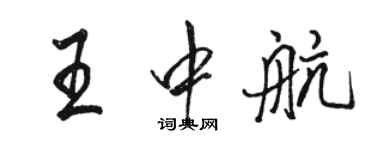 骆恒光王中航行书个性签名怎么写