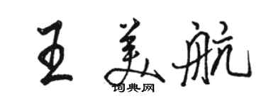 骆恒光王美航行书个性签名怎么写