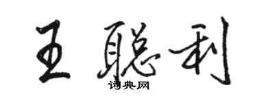 骆恒光王聪利行书个性签名怎么写