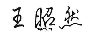 骆恒光王昭然行书个性签名怎么写