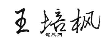 骆恒光王培枫行书个性签名怎么写